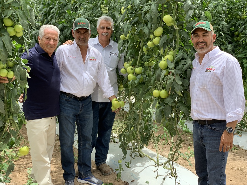 A. Jaime Garza, Sr. in tomato greenhouses, San Luis Potosí