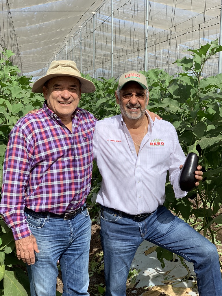 A. Jaime Garza, Sr. in eggplant greenhouses, Culiacán